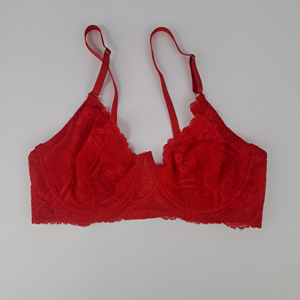 Nightee Nine - Rosy Red Embroidered Padded Bra and Panty Set